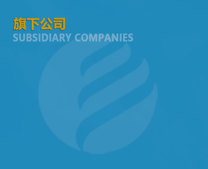 250KW東康檢驗(yàn)報(bào)告 檢測(cè)報(bào)告